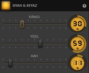 Time-Lapse Tool Siyah Beyaz Efekt Ayarları